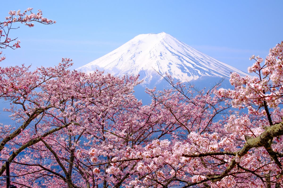 Jepang, tiket pesawat, wisata ke jepang, jepang, Liburan ke Jepang, Terbang ke Tokyo, Bonus Jelajah Jepang Gratis? Cek Cara Dapatnya