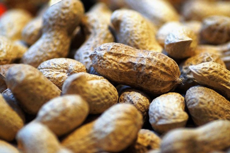 kacang rebus, Cara merebus kacang, cara merebus kacang hijau agar cepat empuk, Cara merebus kacang biar enak, cara merebus kacang tanah biar enak, 6 Cara Merebus Kacang Tanah agar Enak dan Empuk Lebih Cepat, 1. Bersihkan kacang sampai benar-benar higienis, 2. Rendam terlebih dahulu, 3. Rebus cukup lama, 4. Tambahkan garam saat memasak, 5. Tutup panci setelah matang, 6. Tiriskan sebelum disajikan