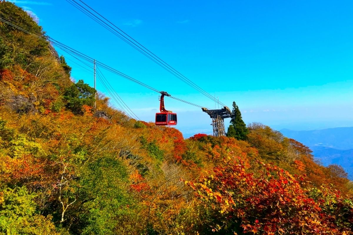 wisata jepang, wisata tokyo, prefektur ibaraki jepang, makanan jepang apa saja, Tempat Wisata Dekat Tokyo Ini Katanya Lebih Indah dari Spot Populer