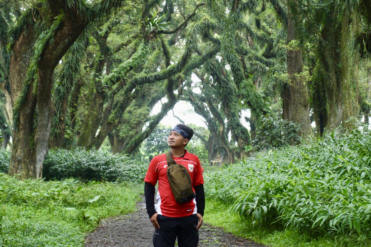 De Djawatan, Jasa Fotografi di De Djawatan, de djawatan banyuwangi, Ingin Foto Keren di De Djawatan Banyuwangi, Wisatawan Bisa Sewa Fotografer Murah
