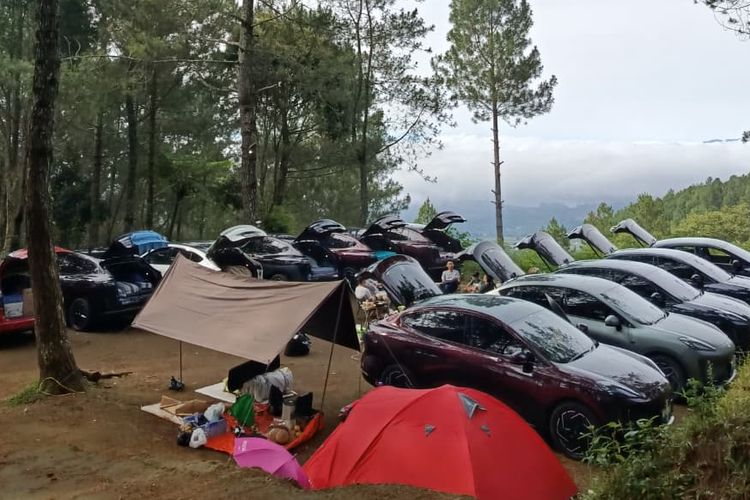 Hyptec, GAC Indonesia, mobil, mobil listrik, Ulik Keunggulan Mobil Listrik Penggerak Roda Belakang