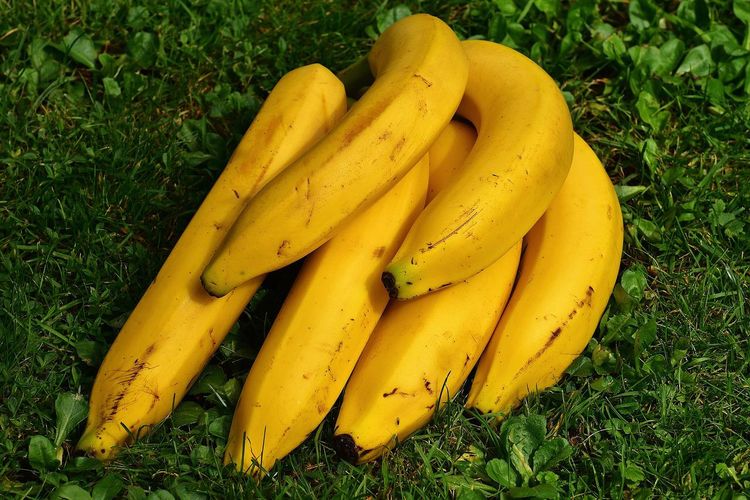 pengganti beras, pengganti nasi, pangan alternatif pengganti beras, pangan alternatif pengganti nasi, pangan nasional pengganti beras, Beras Lagi Mahal, Ini Alternatif Penggantinya Menurut Chef dan Ahli Gizi