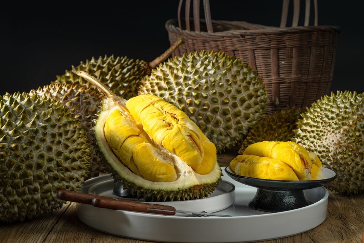durian, Dipercaya Bikin Panas, Bolehkah Ibu Hamil Makan Durian? Ini Saran Dokter Kandungan