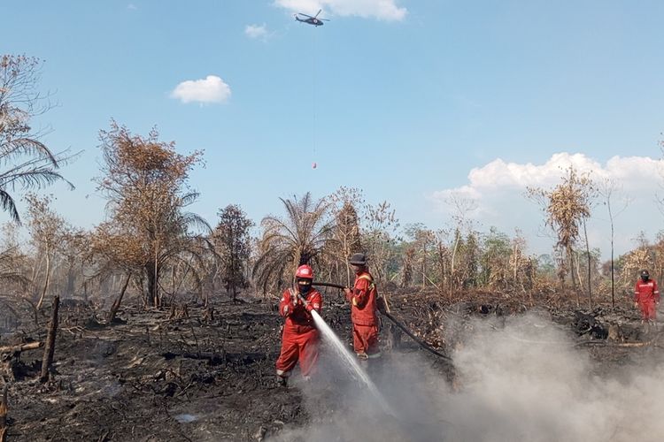 Masitoh, Pekanbaru, kebakaran hutan, karhutla, gambut, pemadam kebakaran, Karhutla, lahan gambut, Karhutla di Riau, asap karhula riau, kebakaran gambut, kebakaran hutan di riau, karhutla 2025, pemadam kebakaran perempuan, Perjuangan Masitoh, Srikandi yang Melawan Karhutla Gambut di Riau