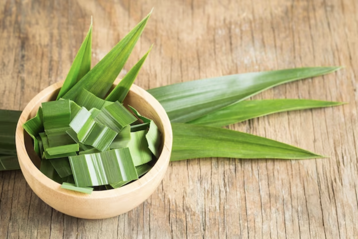 Beras, beras, cara menyimpan beras yang benar, cara menyimpan beras agar tak berkutu, cara menyimpan beras, Tips Menyimpan Beras agar Bebas Kutu dan Bau Apek, 1. Cabai kering, 2. Daun jeruk purut, 3. Daun asam jawa, 4. Daun pandan, 5. Lada kering, 6. Daun belimbing wuluh