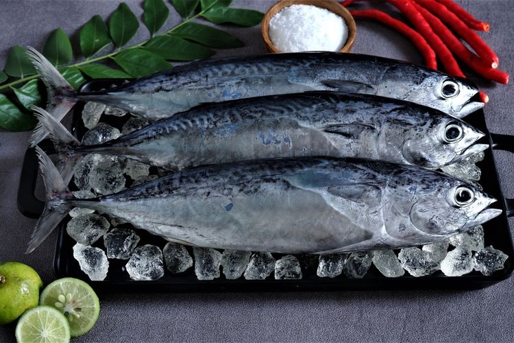 resep pepes tongkol, lauk minim minyak, resep pepes tongkol kemangi, pepes tanpa santan, Resep Pepes Tongkol Tanpa Santan, Gurih Minim Minyak, Bahan yang Diperlukan, Bumbu Halus, Cara Membuat Pepes Tongkol Bebas Santan, Tips Agar Pepes Tidak Amis dan Bumbunya Meresap