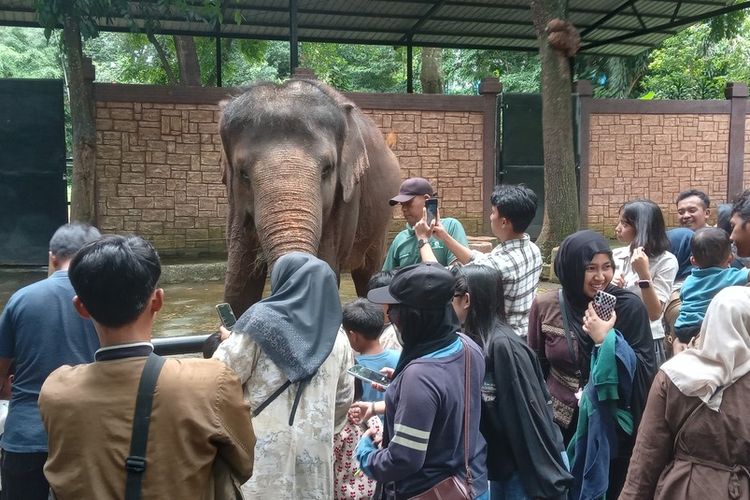 Bandung, Bandung Zoo, Kementerian Kehutanan, Jawa Barat, Kemenhut Resmi Segel dan Ambil Alih Bandung Zoo, Apa yang Perlu Diketahui?, 1. Kemenhut Lindungi Keselamatan Satwa di Bandung Zoo, 2. Kemenhut Akan Bertanggung Jawab dan Merawat Satwa, 3. Pemkot Bandung Sudah Keluarkan SP-3, 4. Pemkot Bandung Jamin Nasib Eks Pekerja Bandung Zoo, 5. Bandung Zoo Tetap Dipertahankan Jadi Ruang Terbuka Hijau