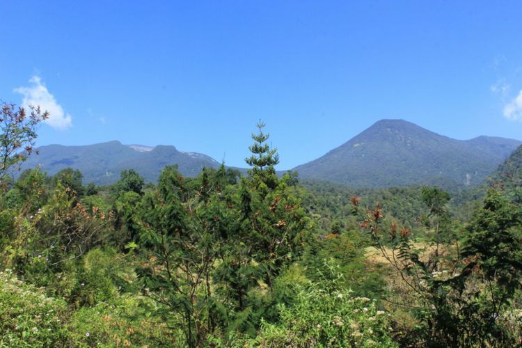 Gunung Gede, Taman Nasional Gunung Gede Pangrango, Aktivitas Wisata Alam Taman Nasional Gunung Gede Pangrango Tutup saat Lebaran