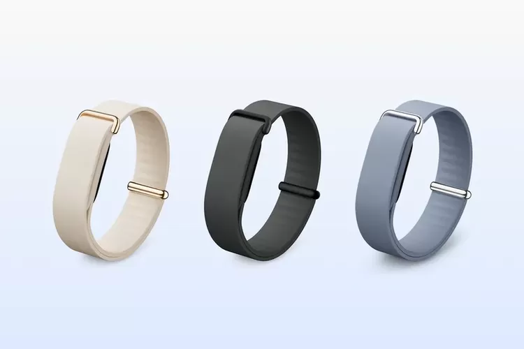 gelang pintar, Fitbit Air, gelang, Google, fitness tracker, Google Rilis Fitbit Air, Gelang Pintar Tanpa Layar untuk Pantau Kebugaran