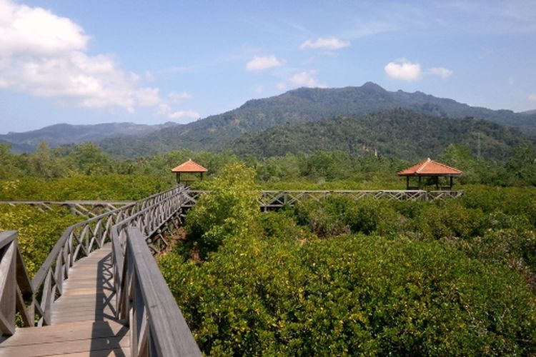 Trenggalek, wisata alam, 7 Wisata Alam Trenggalek yang Cocok untuk Healing dan Liburan Tenang, 1. Pantai Pasir Putih Karanggongso, 4. Pantai Pelang, 5. Goa Lowo, 6. Pantai Konang, 7. Air Terjun Jurug Waru