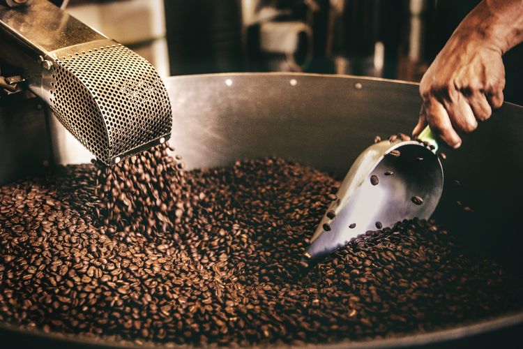 biji kopi, Mengenal Perbedaan Biji Kopi Arabika, Robusta, Liberika, dan Excelsa, 1. Arabika, kopi dengan rasa kompleks dan aromatik, 2. Robusta, kafein lebih tinggi dan tahan hama, 3. Liberika, biji besar dengan rasa kuat, 4. Excelsa, kopi unik yang berpotensi besar