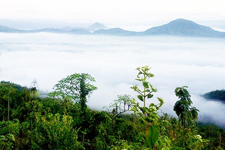 Trenggalek, wisata alam, 7 Wisata Alam Trenggalek yang Cocok untuk Healing dan Liburan Tenang, 1. Pantai Pasir Putih Karanggongso, 4. Pantai Pelang, 5. Goa Lowo, 6. Pantai Konang, 7. Air Terjun Jurug Waru