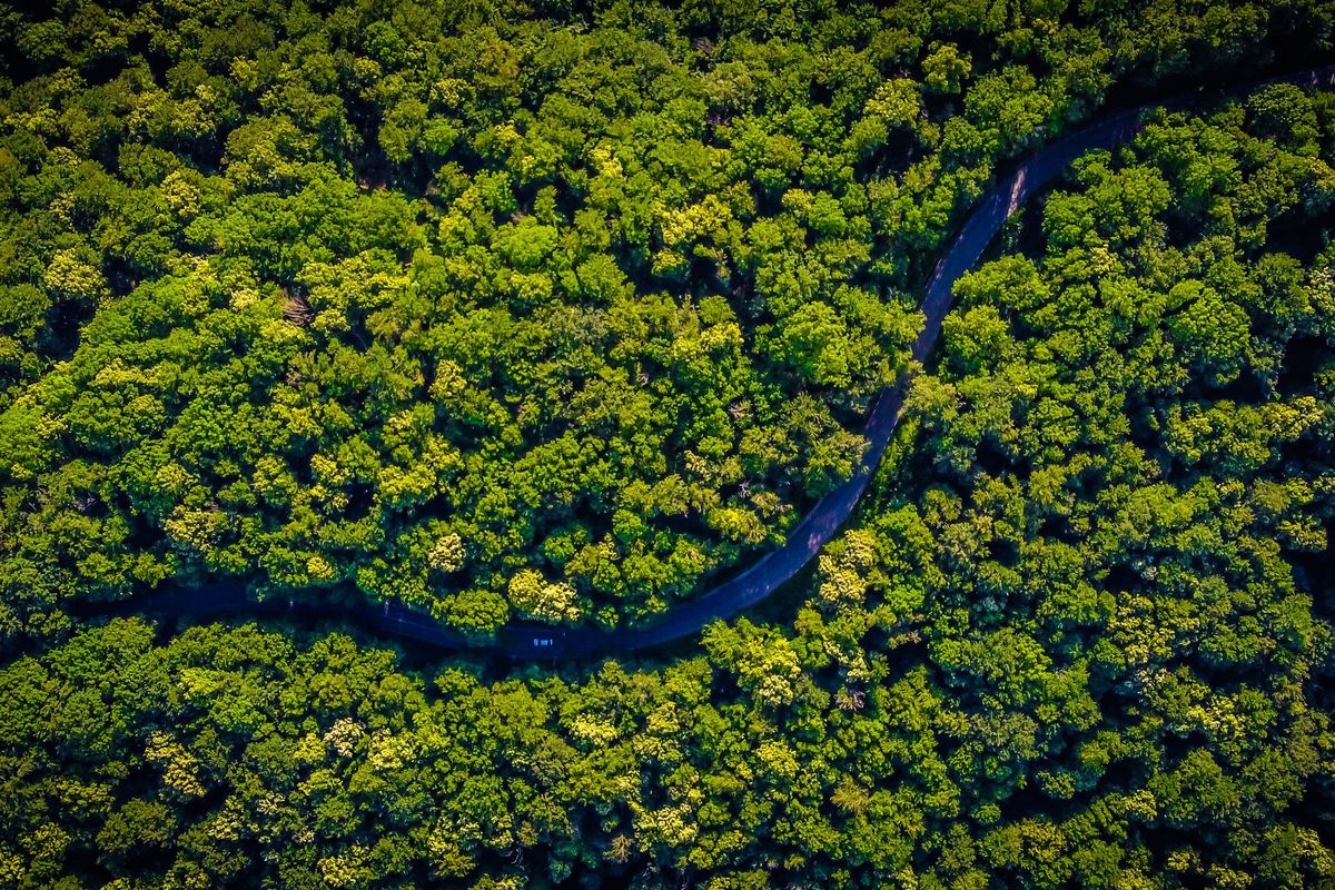 Hutan Amazon, Gunung Rinjani, Google Maps, Rinjani, rinjani, hutan amazon, Hutan amazon dapat rating bintang 1, rating hutan Amazon bintang satu, Hutan Amazon Diserbu Rating Bintang 1 oleh Netizen Indonesia, Balasan atas Gunung Rinjani?