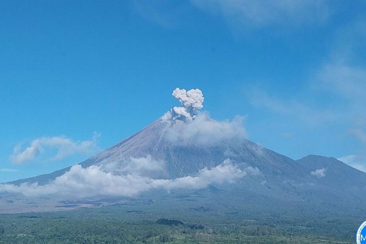Gunung Semeru, Erupsi Gunung Semeru Hari Ini, Warga Diminta Waspada Awan Panas dan Lahar
