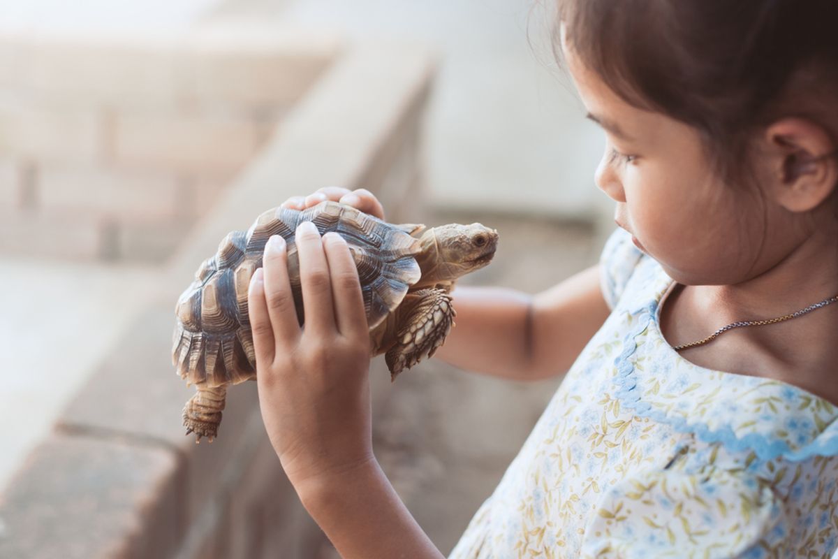 hewan peliharaan, 6 Manfaat Hewan Peliharaan bagi Tumbuh Kembang Anak, Bukan Sekadar Teman Bermain, 1. Membantu proses belajar, 2. Memberikan rasa nyaman, 3. Mendorong sifat mengasuh, 4. Menjaga kesehatan anak, 5. Membangun kepercayaan diri, 6. Mempererat ikatan keluarga