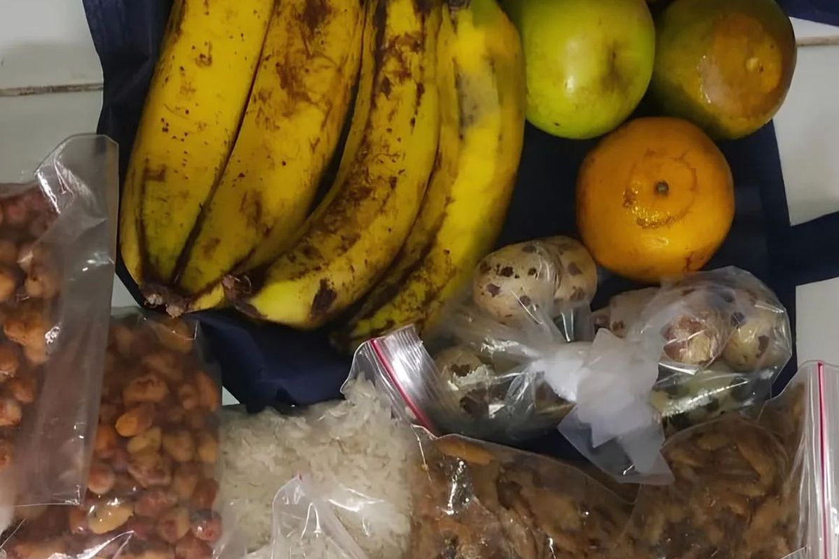 mikrobiologi, Makan Bergizi Gratis, Penyebab Banyak Kasus Keracunan MBG, BPOM: Ada Cemaran Mikrobiologi