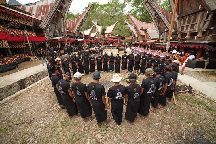 Sulawesi Selatan, Tana Toraja, Toraja, 7 Hal Seru yang Cuma Bisa Kamu Temukan di Tana Toraja, Negeri di Atas Awan