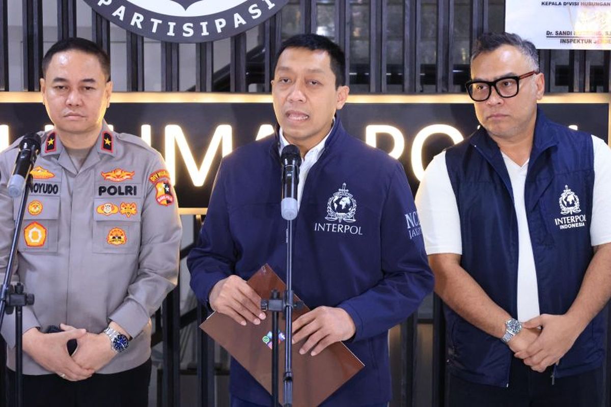 Riza Chalid, Kasus Riza Chalid, Penerbitan Red Notice, dan Lokasi Persembunyiannya
