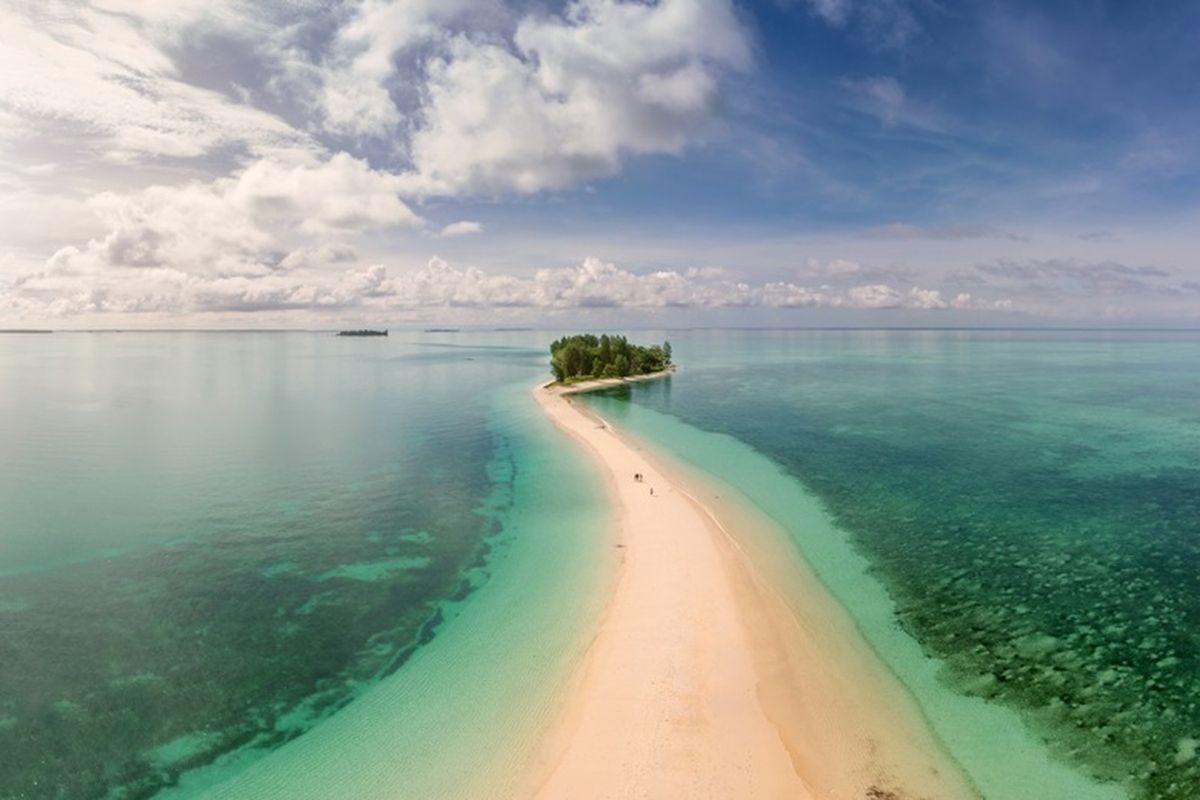 Desa Wisata, kampung nelayan, Wisatawan, mangrove, Perang Dunia II, wellness tourism, konservasi, wisatawan, desa wisata, destinasi wisata, Menemukan Keseimbangan Hidup di Morotai, Ketika Laut Jadi Guru dan Masyarakat Jadi Sahabat