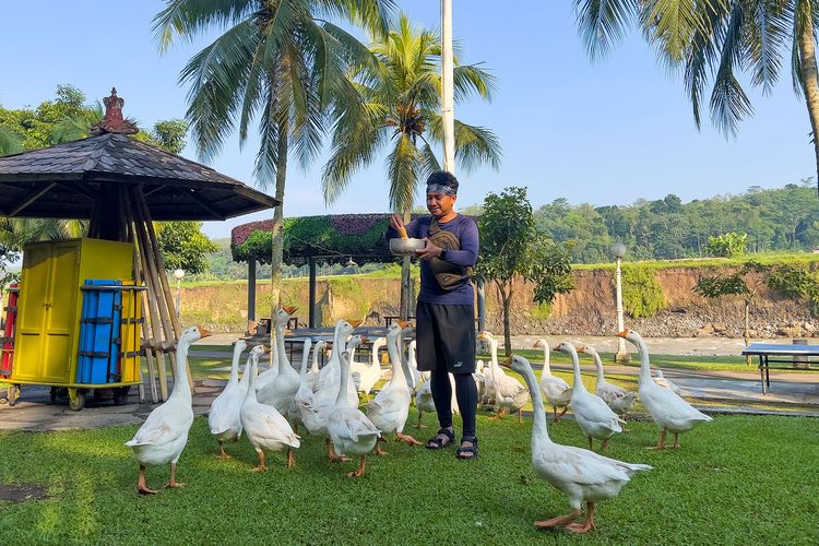 Kota Magelang, Puri Asri, Puri Asri Magelang, Kota Magelang Ternyata Punya Resorts Bintang 5 Hidden Gem di Tepi Sungai Progo