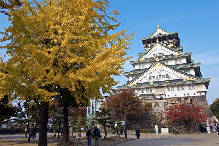 Osaka Castle, osaka castle, alasan osaka castle popular, tempat wisata di jepang osaka, tempat wisata di jepang yang wajib dikunjungi, wisata di jepang yang lagi hits, 3 Alasan Osaka Castle Jadi Destinasi Wisata Popular di Jepang