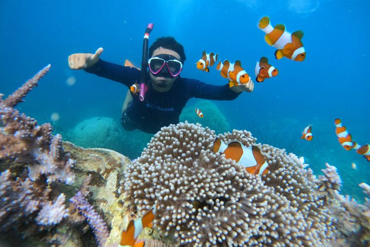 diving, snorkeling, 5 Rekomendasi Taman Laut Terbaik di Indonesia untuk Diving dan Snorkeling