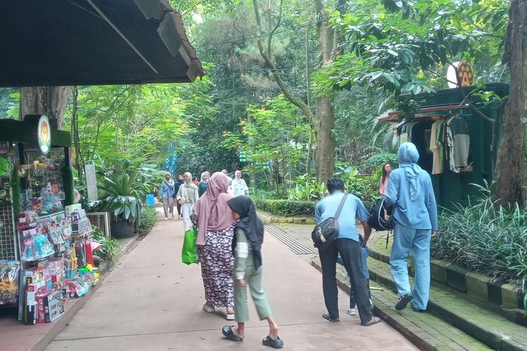 korupsi bandung zoo, pencabutan gugatan pengadilan, aset Kebun Binatang Bandung, sengketa tanah Bandung Zoo, pengelolaan sementara Bandung Zoo, terdakwa kasus korupsi Bandung, Pemkot Bandung hadapi gugatan, Eks Terdakwa Korupsi Bandung Zoo Cabut Gugatan ke Wali Kota, Ini Dampak Sengketa Aset Rp 932 Miliar