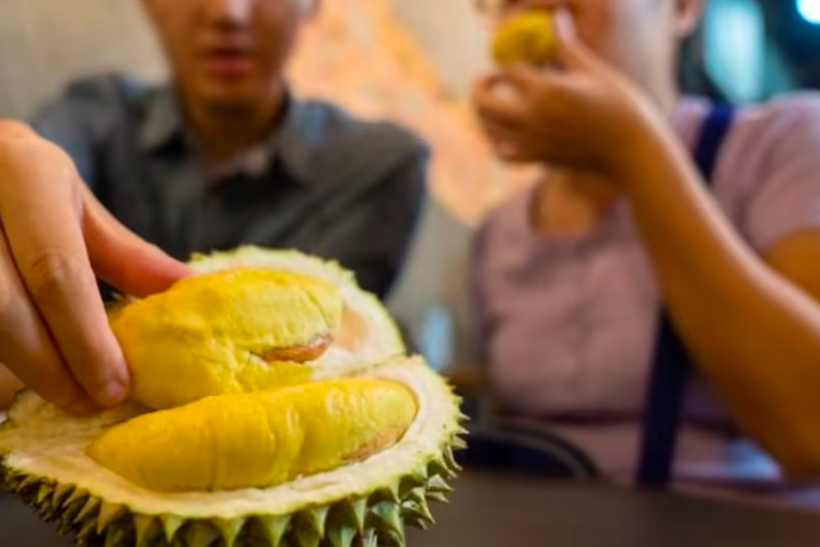 Paket wisata, makan durian, durian di Penang, Ada Paket Wisata Makan Durian di Malaysia, Tertarik?