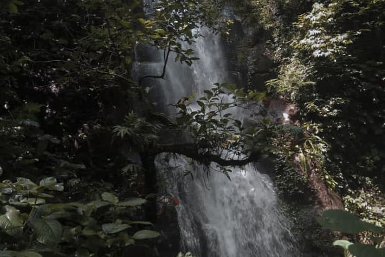 Banjarnegara, wisata, 7 Wisata Banjarnegara, Dari Kawah Eksotis hingga Arung Jeram yang Menantang