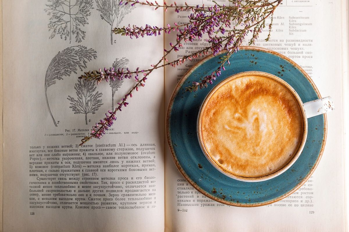 book cafe di Jakarta, 7 Book Cafe di Jakarta, Nyaman untuk Ngopi, Baca sampai WFC, 1. Ruma Coffeatery, 2. Taksu Book Cafe, 3. Nika Bookstore Cafe, 4. Smiljan Makarya Matraman, 5. Finders Cafe by OPPO (Pacific Place), 6. Libri E Cafe, 7. Makan di Tebet