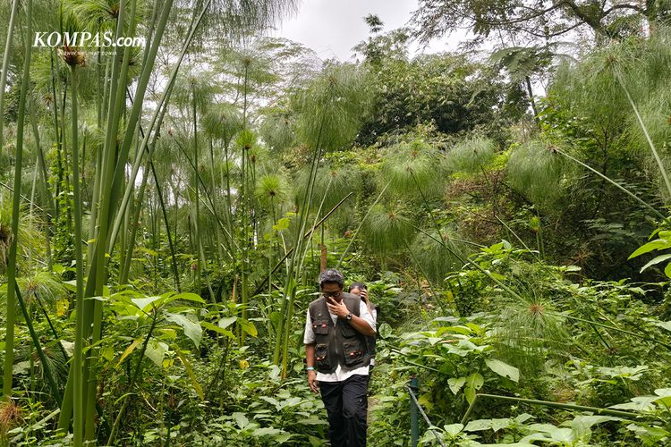 Camon 50 Pro 5G, Smartphone, Tecno Camon 50 Pro 5G, hasil foto, Memotret Alam Bogor dengan Tecno Camon 50 Pro 5G, Zoom Jadi Andalan