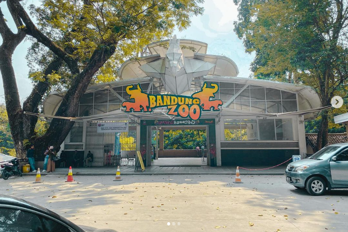 Muhammad Farhan, Wali Kota Bandung, Bandung Zoo, korupsi bandung zoo, Kasus Korupsi Bandung Zoo Merembet, Wali Kota Farhan Ikut Digugat ke Pengadilan