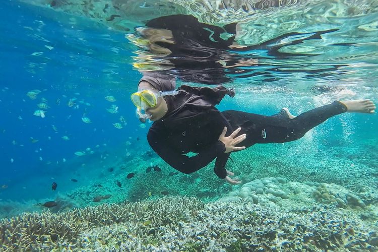 snorkeling di pantai bunaken, snorkeling di bunaken, biaya snorkeling di bunaken, snorkeling bunaken, cara snorkeling di pulau bunaken, grand luley hotel manado, Cara Snorkeling di Pulau Bunaken, Pemula Wajib Tahu