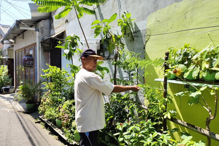 Saya Menyusuri Gang Hijau Srengseng, Secuail Oase di Tengah Padatnya Kota Jakarta, Langkah kecil menghijaukan bumi dari gang, Tak lupa apresiasi , Pentingnya kesadaran masyarakat, Mendulang cuan dari olahan tanaman