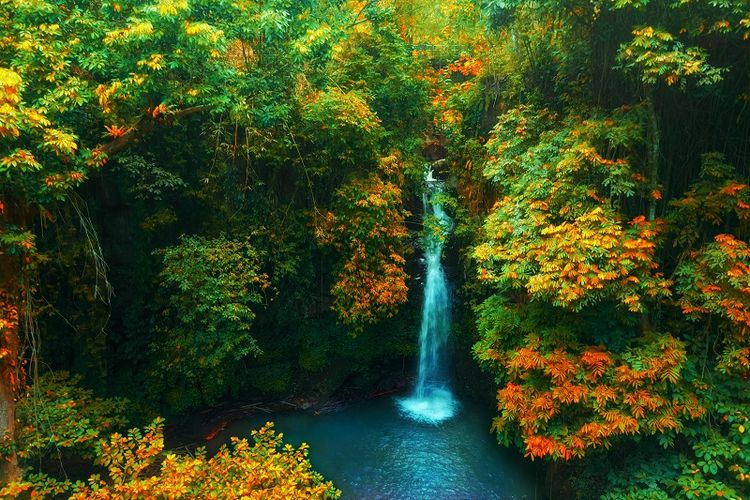air terjun, Banyuwangi, 5 Air Terjun di Banyuwangi Alami Perlu Trekking Untuk Menjangkaunya