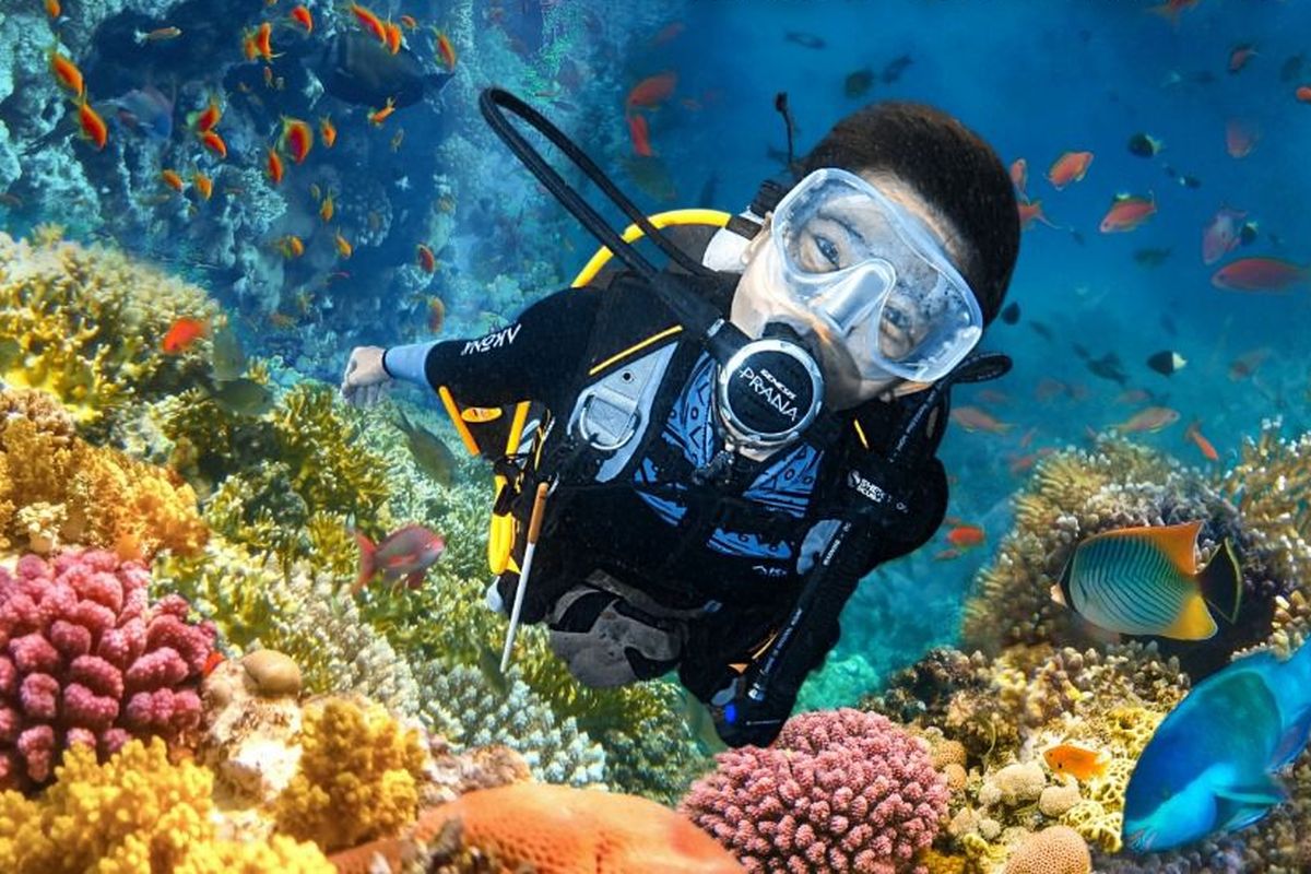 wisata surabaya, diving di surabaya, scuba diving surabaya, scuba diving artinya, wisata scuba diving, Tren Scuba Diving di Surabaya, Simak Sertifikasi dan Daya Tariknya