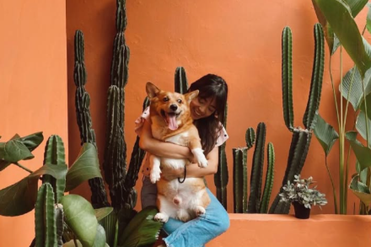 Ngopi Bareng Hewan Peliharaan, Ini 5 Kafe Pet Friendly di Jakarta, 1. Tanatap Coffee Meruya, 2. Six Ounces Coffee, 3. Lazy Boss Coffee and Desserts, 4. C for Cupcakes and Coffee, 5. Kisaku Pasaraya
