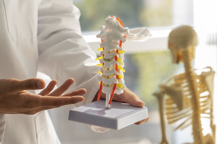 Hari Osteoporosis Sedunia, 20 Oktober 2025, 20 oktober hari apa, tanggal 20 oktober hari apa, hari koki internasional, hari statistik sedunia, hari CRISPR sedunia, 20 oktober memperingati hari apa, Tanggal 20 Oktober Memperingati Hari Apa Saja? Ada Hari Osteoporosis Sedunia, 1. Hari Koki Internasional, 2. Hari Osteoporosis Sedunia, 3. Hari Statistik Sedunia, 4. Hari CRISPR Sedunia