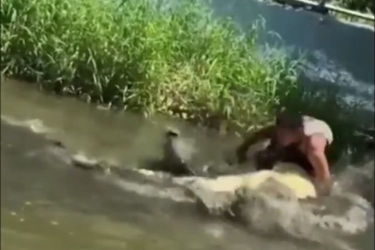 turis di Filiphina digigit buaya, turis digigit buaya, Dikira Patung, Turis di Filipina Malah Digigit Buaya Asli