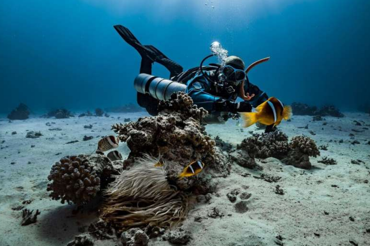 Bali, Buleleng, menyelam, WNA Spanyol, spear fishing, Kronologi WNA Spanyol Tewas saat Spear Fishing di Buleleng, Diduga Alami Blackout, Kronologi WNA Spanyol Tewas di Buleleng, Ditemukan di Kedalaman 20 Meter, Penyebab Diduga Blackout, Prosedur Aman dalam Spear Fishing