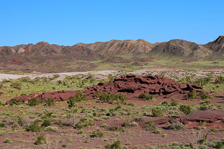 Kazakhstan, 5 Destinasi Wisata Alam Kazakhstan Wajib Dikunjungi, WNI Bebas Visa, 2. Cagar Alam Korgalzhyn, 3. Taman Nasional Altyn-Emel, 4. Taman Nasional Sairam-Ugam, 5. Wilayah Mangistau