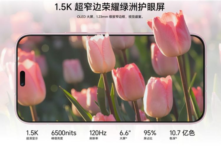 Honor, Honor X80i, HP Honor X80i Resmi, Bawa Spek Layar Tinggi dan Baterai Besar