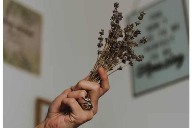 300 Caption IG Aesthetic Singkat, Keren, dan Bikin Feed Makin Menarik, Caption IG Aesthetic Singkat, Caption IG Aesthetic Keren, Caption IG Aesthetic Bahasa Inggris, Caption IG Aesthetic tentang Kehidupan, Caption IG Aesthetic tentang Cinta, Caption IG Aesthetic Lucu, Caption IG Aesthetic untuk Selfie, Caption IG Aesthetic Satu Kata, Kesimpulan