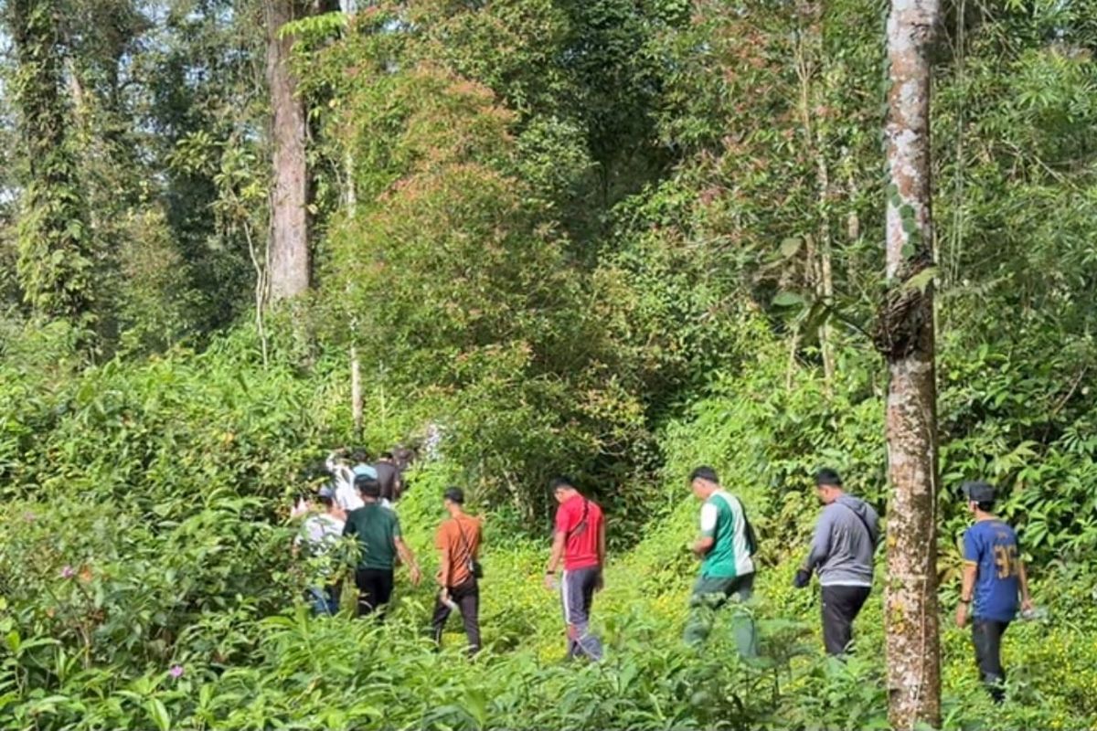 Baturraden, Sensasi Hiking di Hutan Baturraden, Diakhiri Berenang di Curug Tirtasela