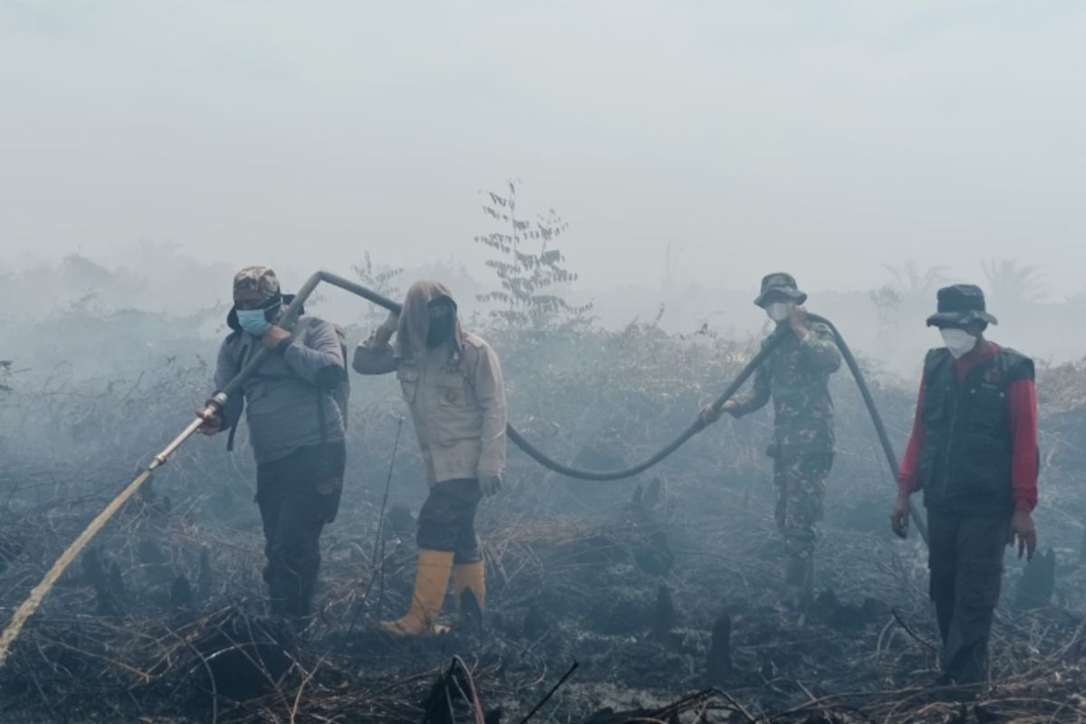 Kebakaran hutan dan lahan, karhutla, BNPB, Karhutla, Status Tanggap Darurat, status tanggap darurat, kebakaran hutan dan lahan, BNPB Curiga Karhutla di Riau Ulah Manusia: Api Terlihat Terpisah di Areal Sawit