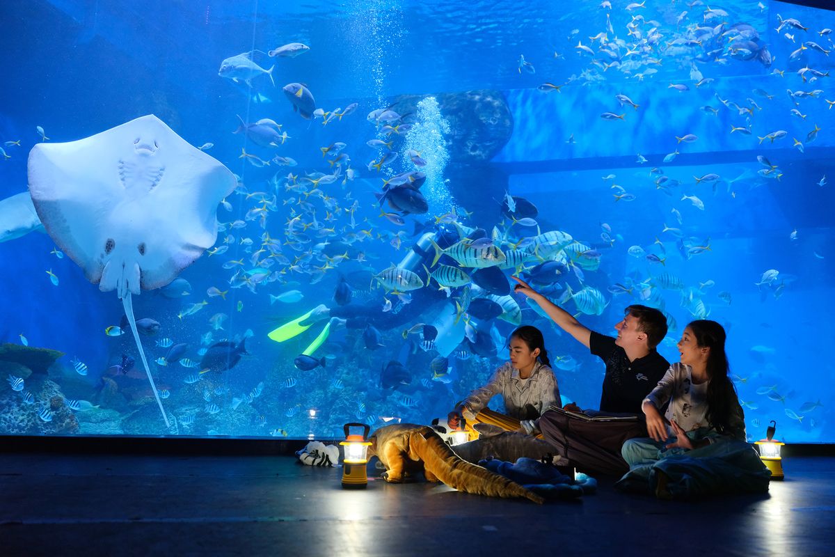 jakarta aquarium harga, tiket jakarta aquarium, jam buka jakarta aquarium, jakarta aquarium safari, jakarta aquarium tutup jam berapa, tiket jakarta aquarium dewasa, harga tiket jakarta aquarium lebaran 2025, tiket jakarta aquarium berapa, Jam Buka dan Tiket Jakarta Aquarium & Safari pada Hari Kedua Lebaran 2025