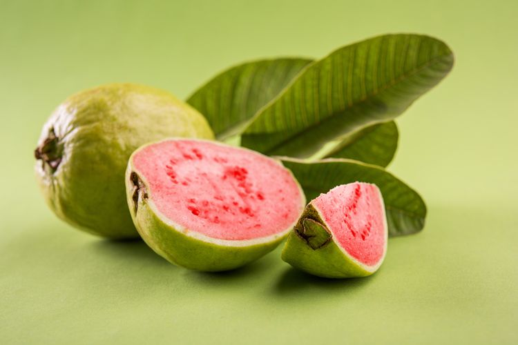 jambu biji, manfaat jambu biji, manfaat jambu biji untuk kesehatan, Lebaran, Manfaat Daun dan Jambu Biji untuk Kesehatan Saat Lebaran, Manfaat jambu biji dan daunnya untuk kesehatan, Kandungan gizi jambu biji, Risiko konsumsi jambu biji, Tips konsumsi jambu biji