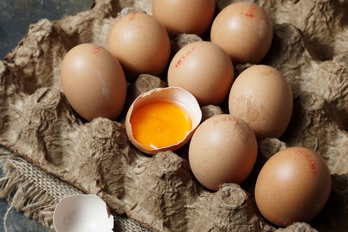 Benarkah Nutrisi Telur Omega 3 Lebih Banyak Dibanding Telur Biasa?