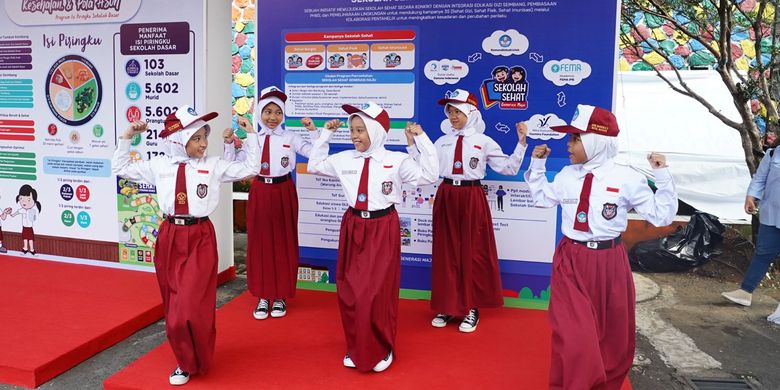 Anemia defisiensi besi, kekurangan zat besi, Kecerdasan anak, anemia defisiensi besi, Anemia Defisiensi Besi Turunkan Kecerdasan Anak