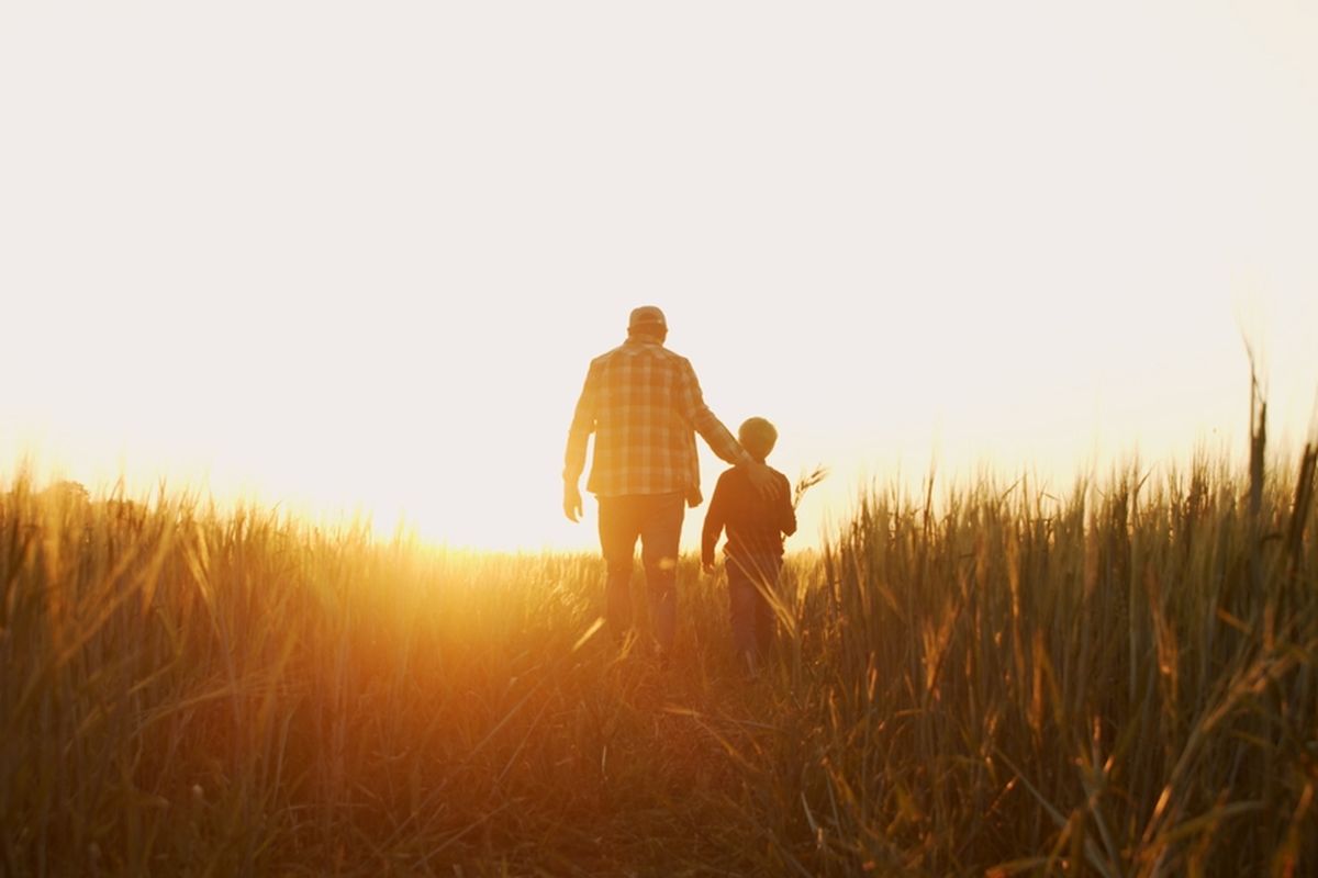 Peran Ayah, parenting, peran ayah, Menjadi Ayah yang Berdaya